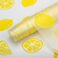 Printed Anti Slip Eva Mat - Lemon - Application: Commercial