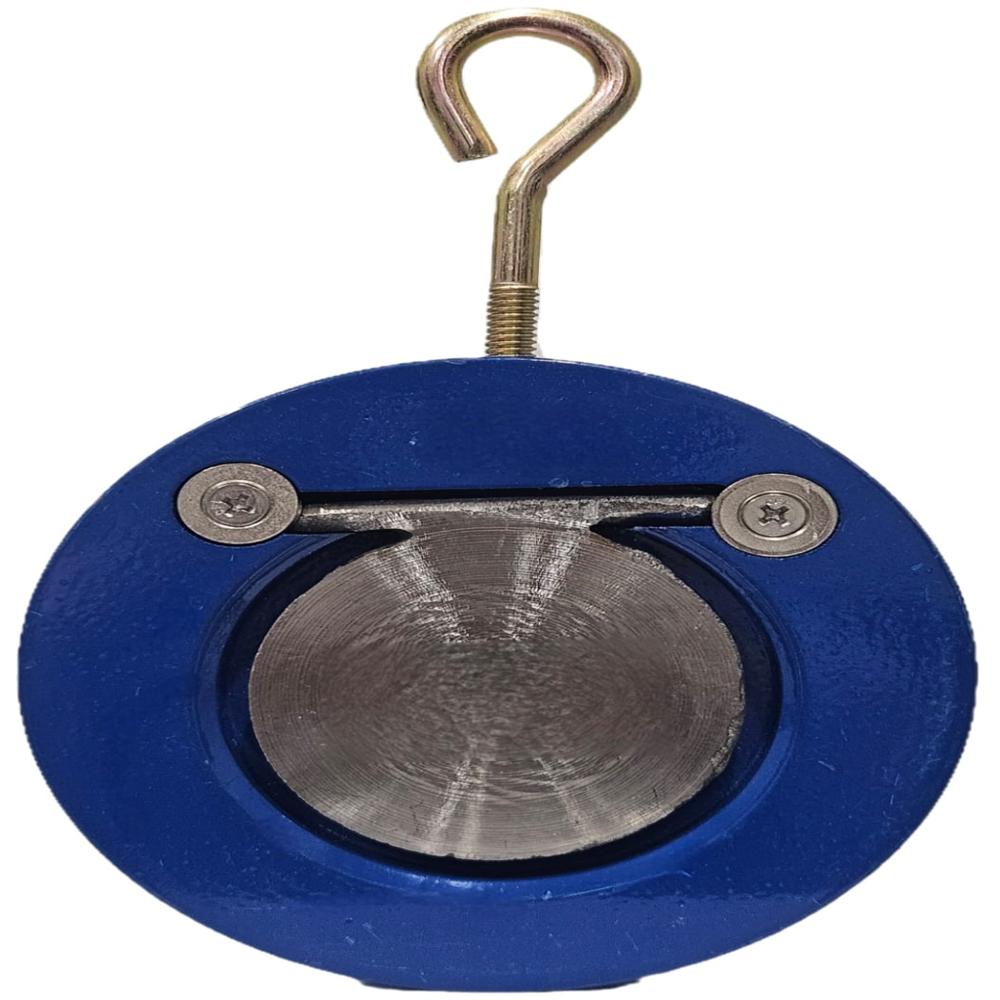 Wafer Swing Check Valve - Cast Iron, 2.5 Inch Size, Blue Color, High Pressure Rating | Industrial Water Media Flow Control System