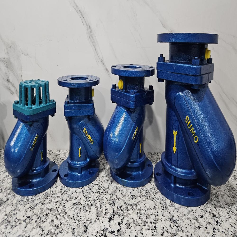Flange Type Non Return Valve