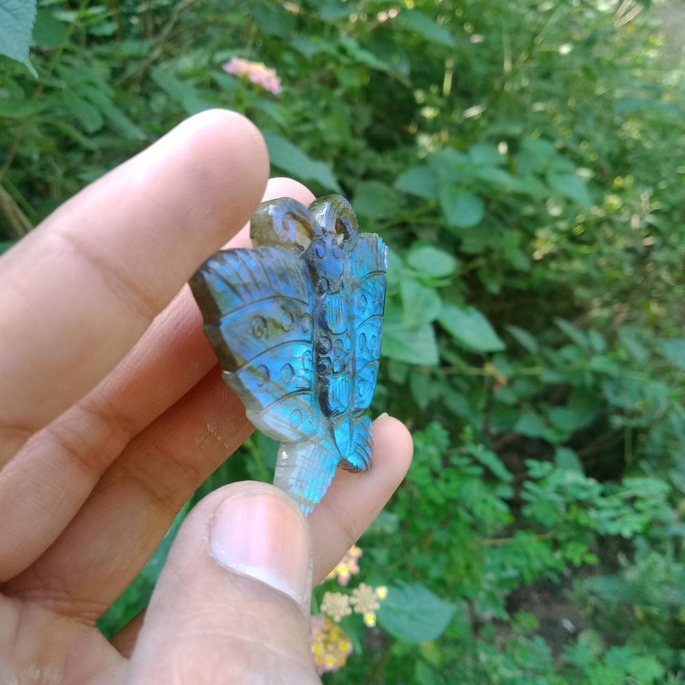 Labadrodrite Butterfly Pendent