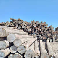 Pine Round Logs
