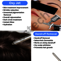Hydra Facial MDA with  10 in 1 Small Model Electroporation Machine