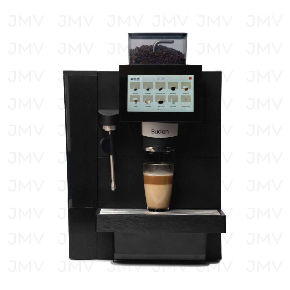 JMV Budan M100