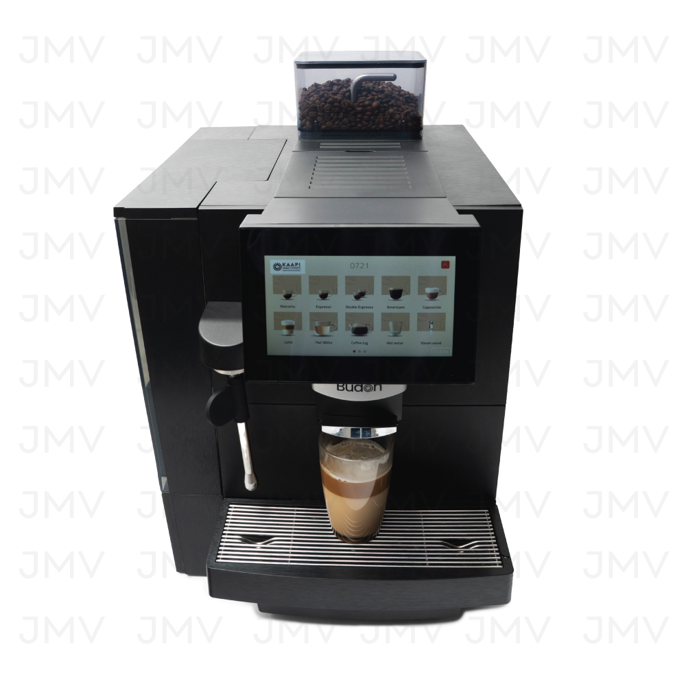 JMV Budan M100