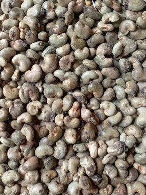 Raw cashew nuts