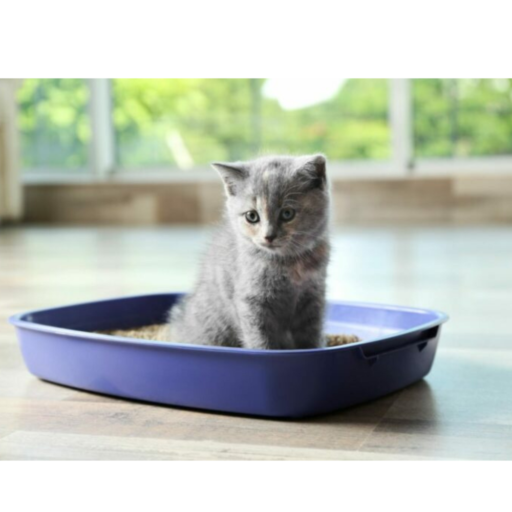 Cat Litter Granule (Bentonite & Attapulgite)