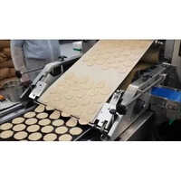 Biscuit Rotary Cutting Machine - Automatic Grade: Fully Automatic