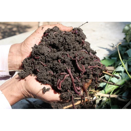 BIOHUME- Gr Vermicompost