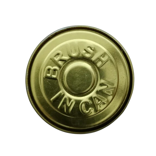 100ml Brush In Tin Can - Capacity: 100 Milliliter (Ml)
