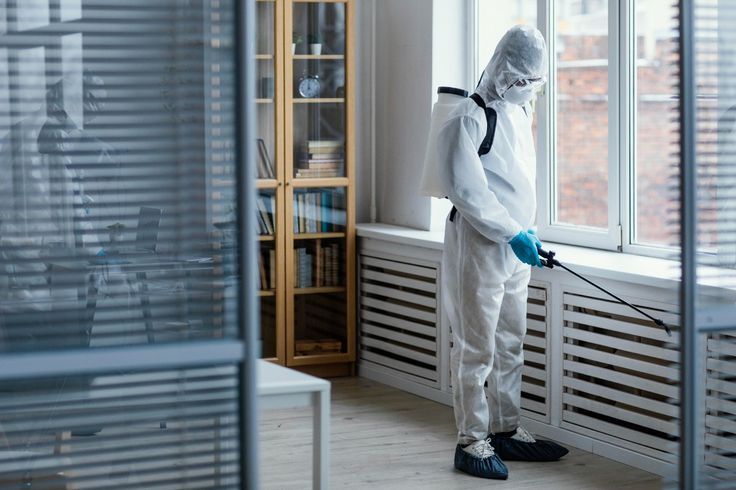 Pest Control Service