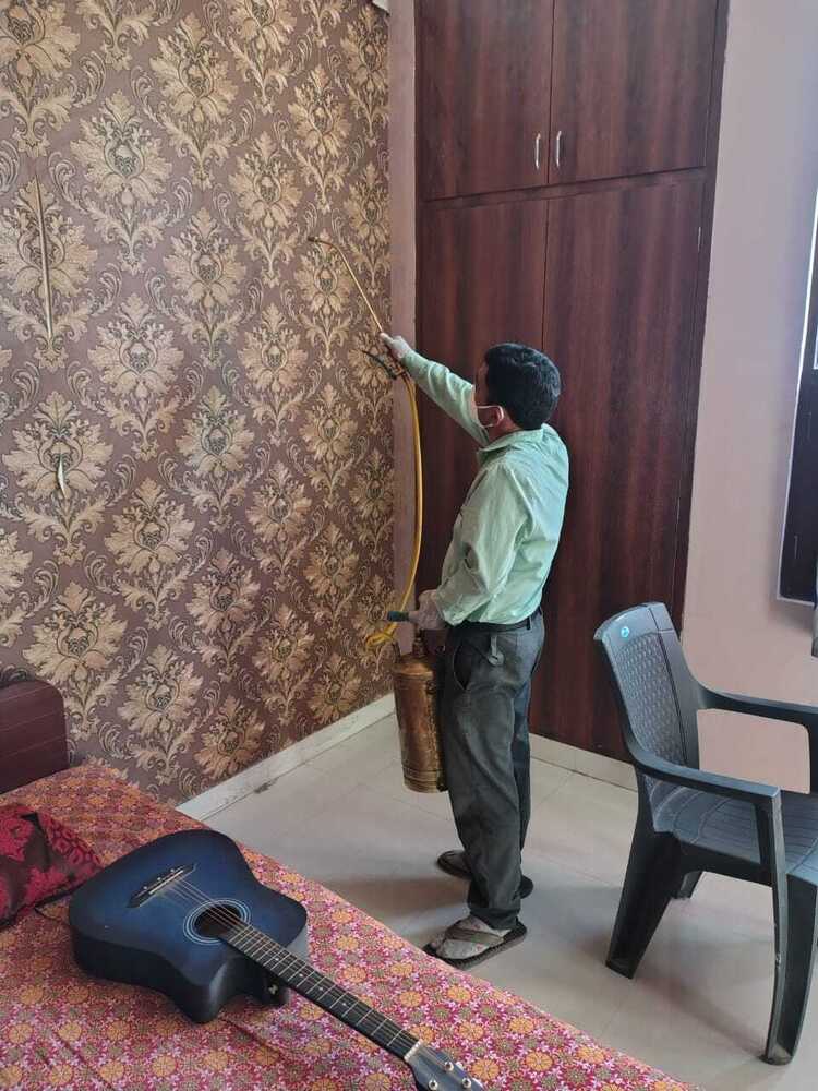 Pest Control Service