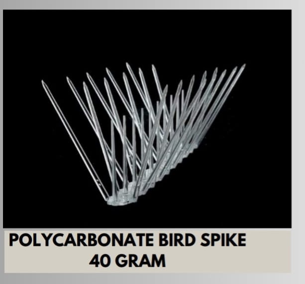 Plastic Bird Spike