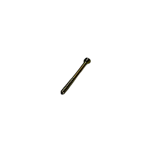 2.5mm Herbert Orthepidic Implants Screw Titanium - Size: 2.5 Mm