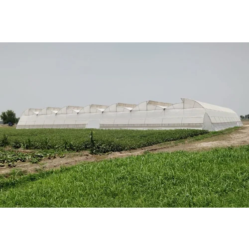 Naturally Ventilated Polyhouse