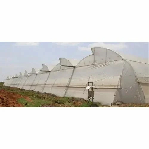 Ventilated Polyhouse