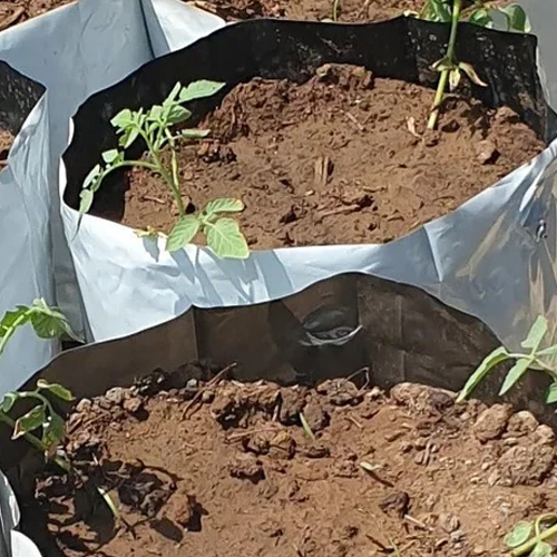 Plastic Hydroponics Grow Bag