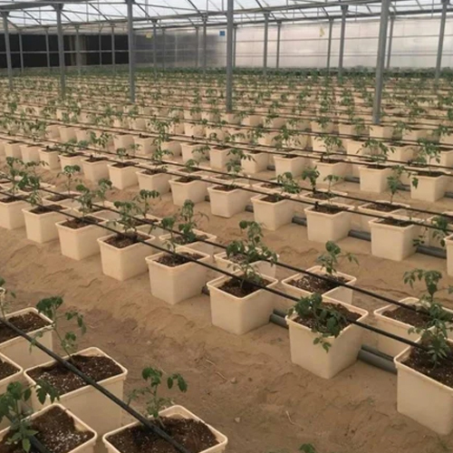 Greenhouse Hydroponics Dutch Bucket