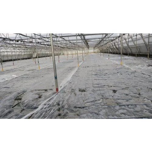 Greenhouse Soil Sterilization Sheet