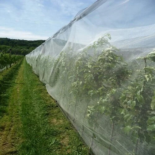 Insect Protection Net