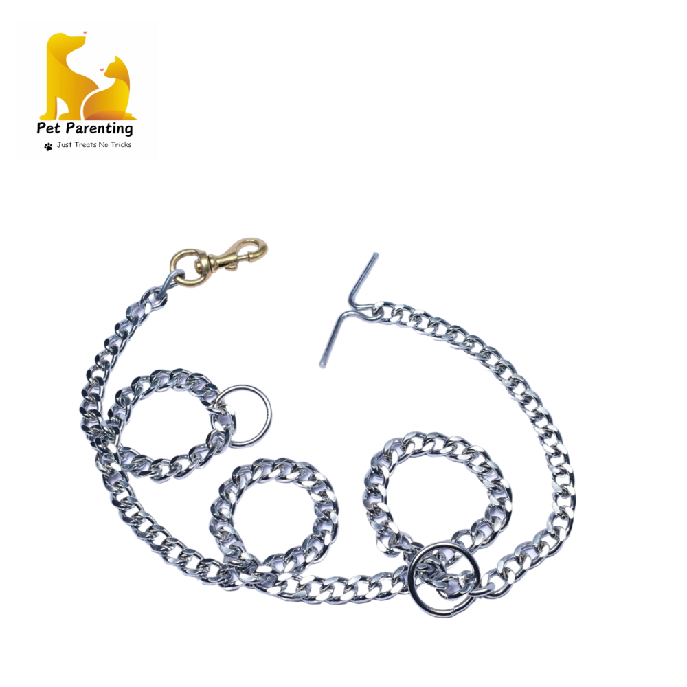 Dog Chain Leash