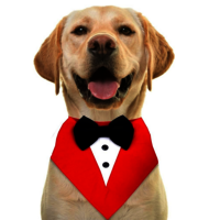 Dog Tuxedo Bandana red