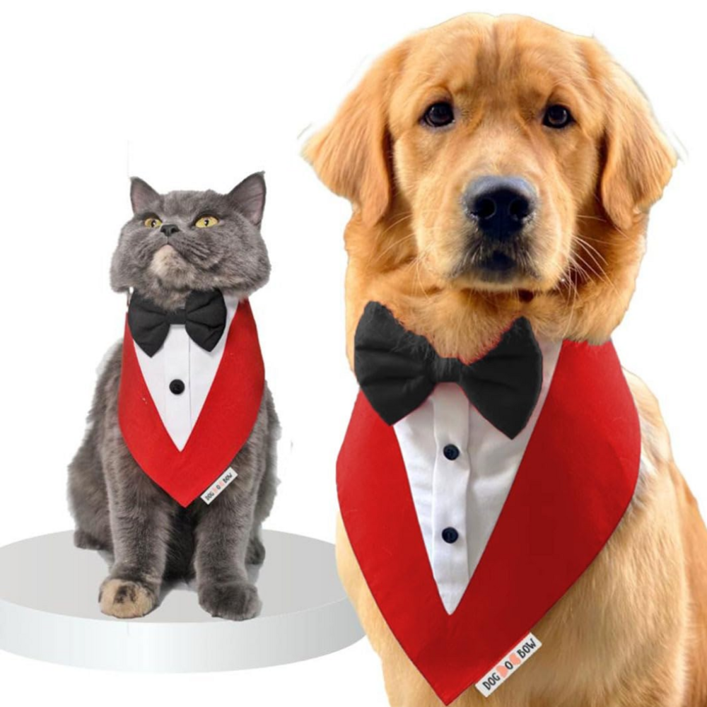 Dog Tuxedo Bandana red