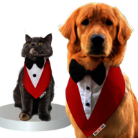 Dog Tuxedo Bandana red
