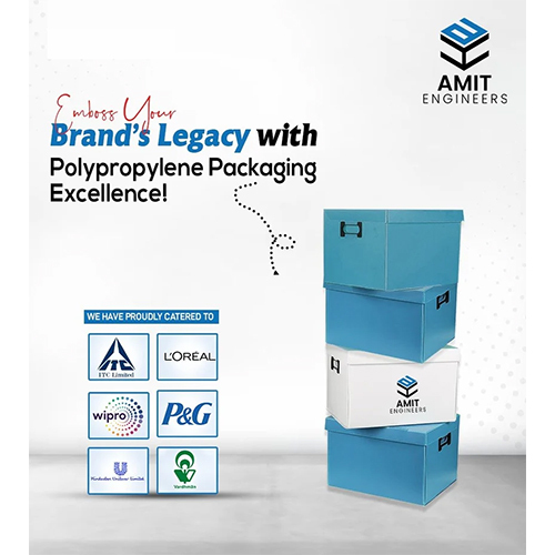 Top Bottom Pp Box