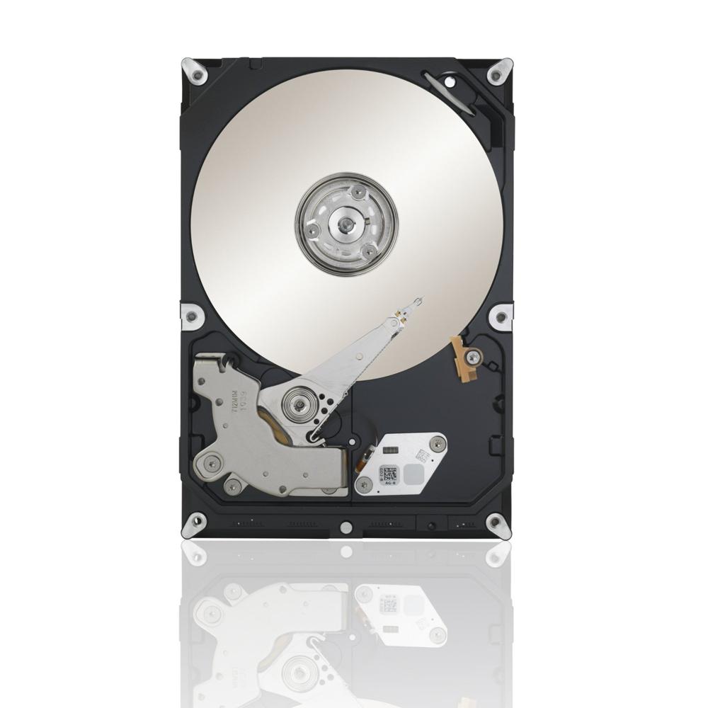Seagate Hard Disk - Application: Servers