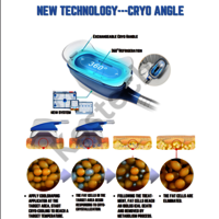360 cryolipolysis