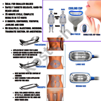 360 cryolipolysis