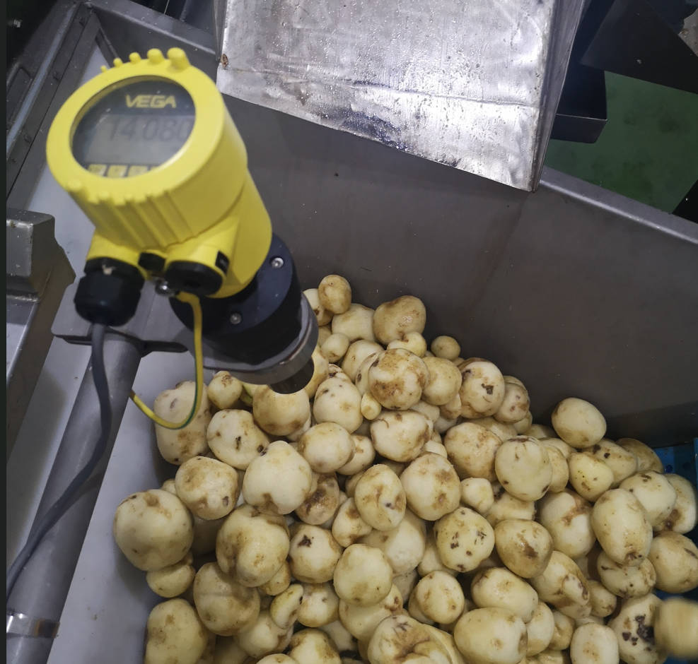 Continue Knife Peeler - Frequency: 50 Hertz (Hz)