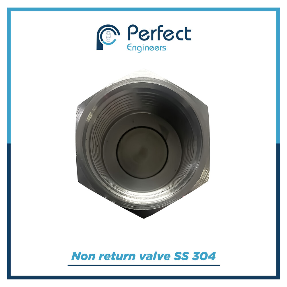 Pneumatic Non Return Valve - Color: Stainless Steel