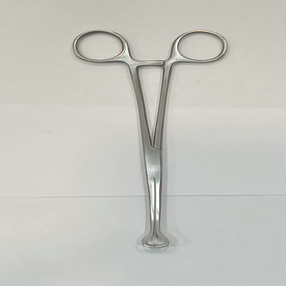 BABCOCK FORCEPS - 12