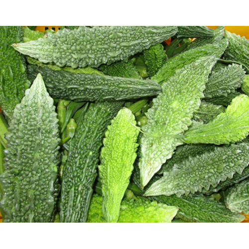 Bitter Gourd - Moisture (%): 91.2% To 94.4%