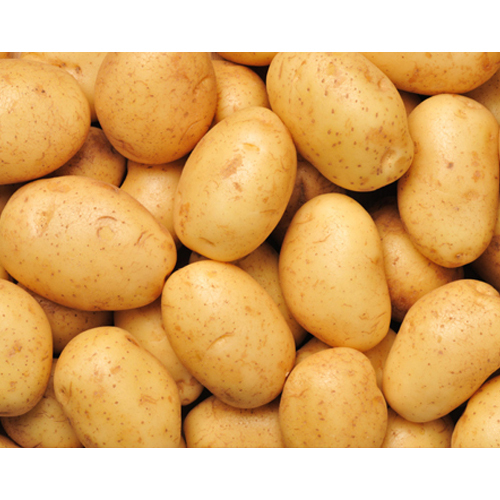 Fresh Potato