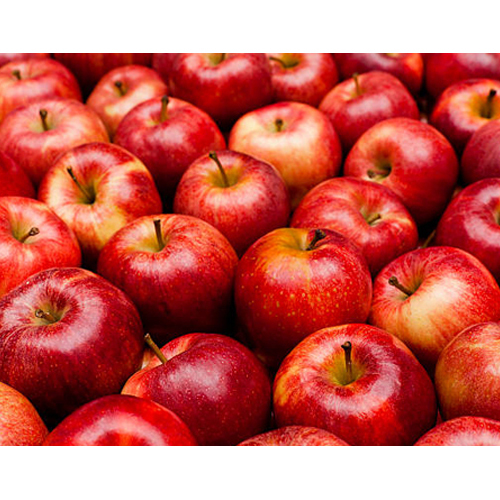 Fresh Red Apple