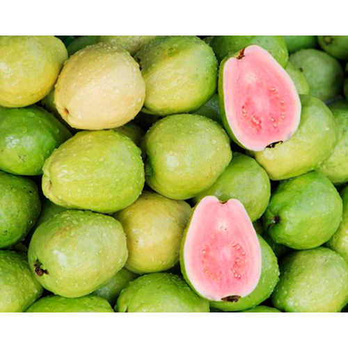 Organic Guava