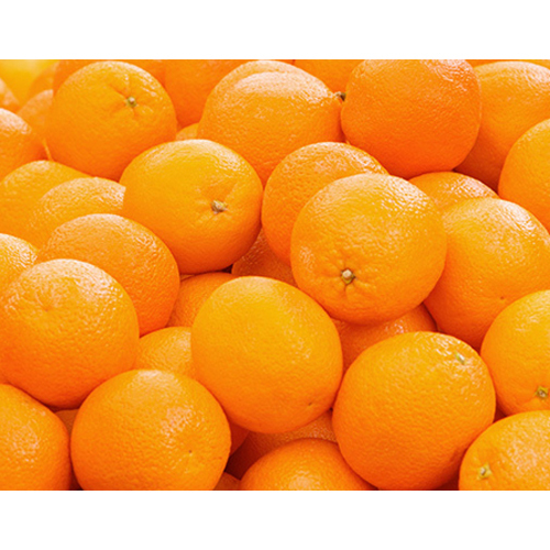 Fresh Orange