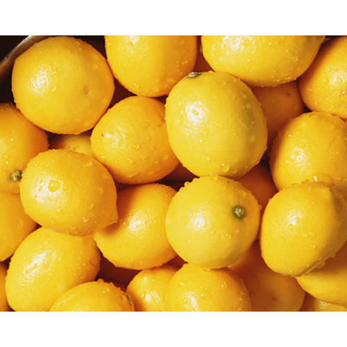 Fresh Lemon