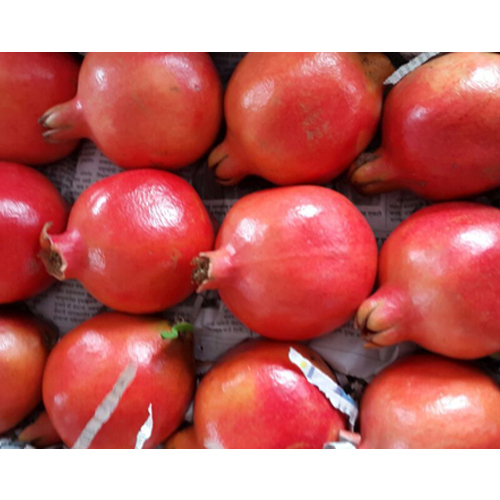 Fresh Pomegranate