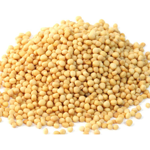 Yellow Mustard Seeds