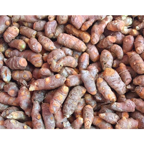 Organic Turmeric Root