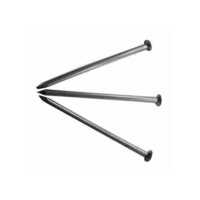 Ss Common Round Nails - Application: Industrial