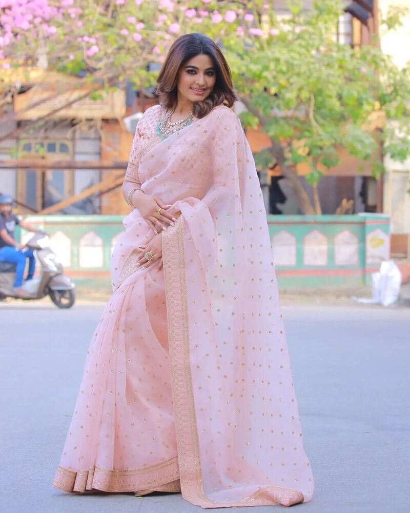Khadi orgenza silk sree