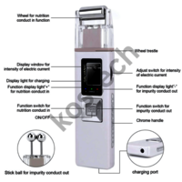 Galvanic Facial