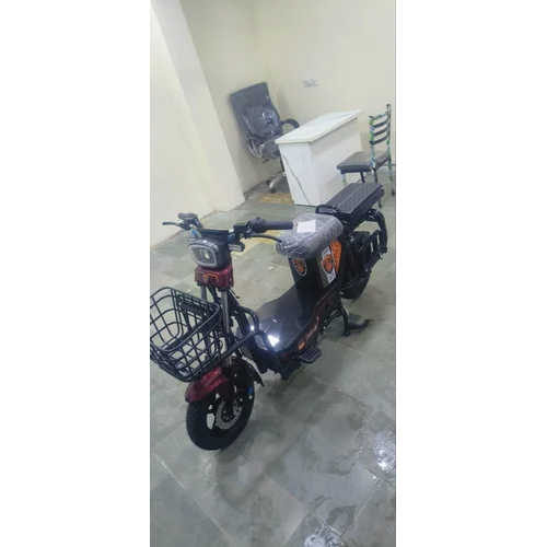 Rilox EV Mini Bike