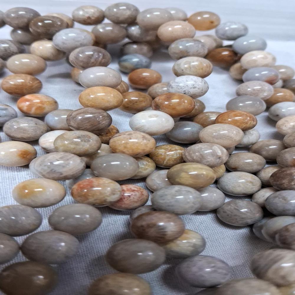 Coral Fossil Crystal Beads - Color: Multicolour