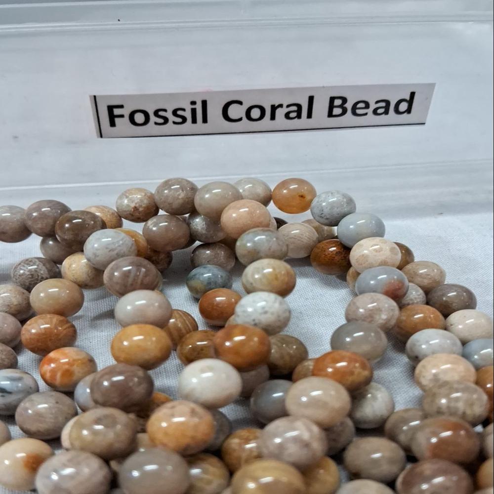Coral Fossil Crystal Beads