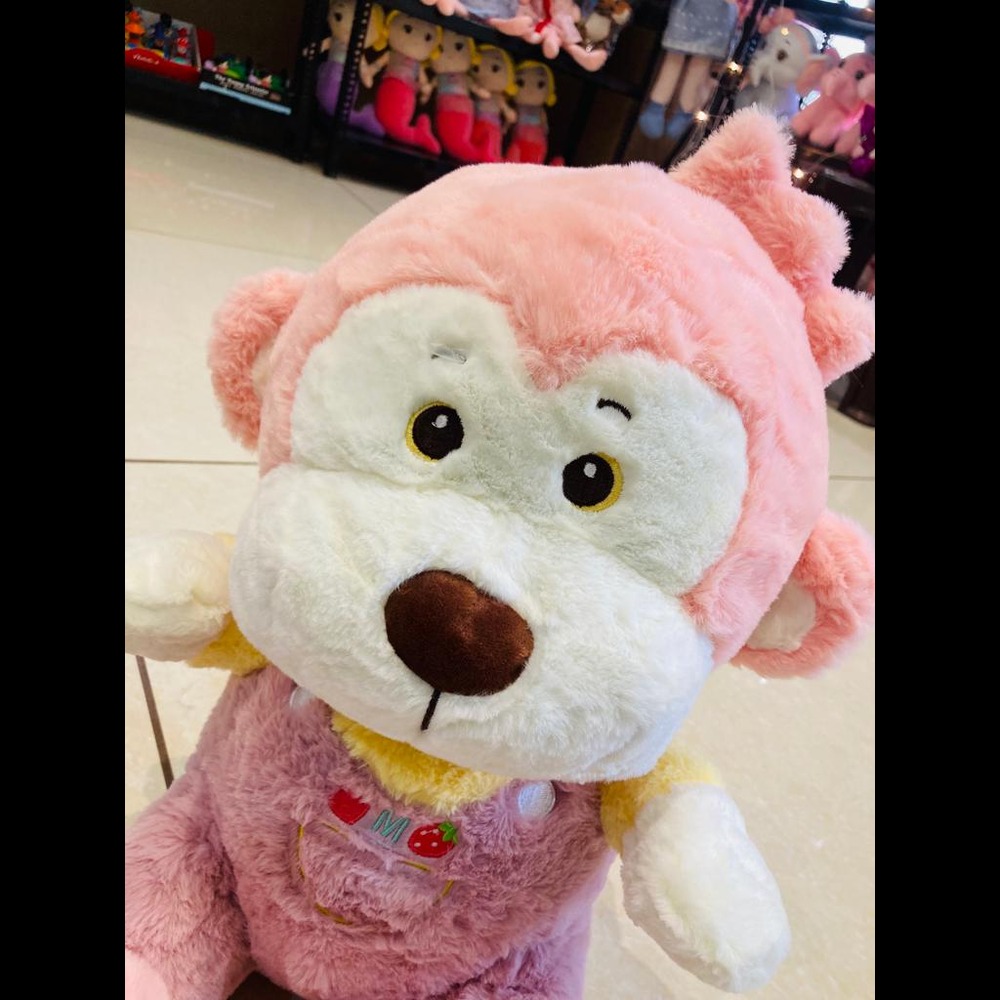 Monkey Soft Toys - Color: Multicolor